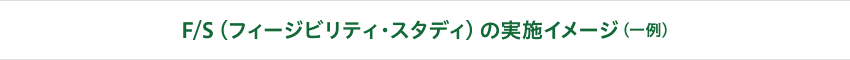 F/S（フィージビリティ・スタディ）の実施イメージ（一例）