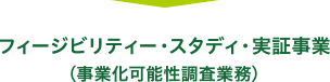 フィージビリティー・スタディ・実証事業 (事業化可能性調査業務)