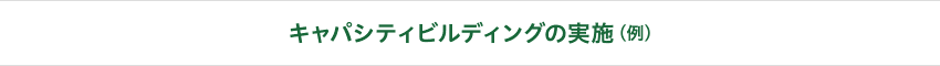 キャパシティビルディングの実施（例）