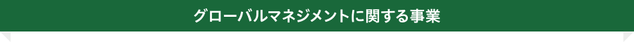 グローバルマネジメントに関する事業